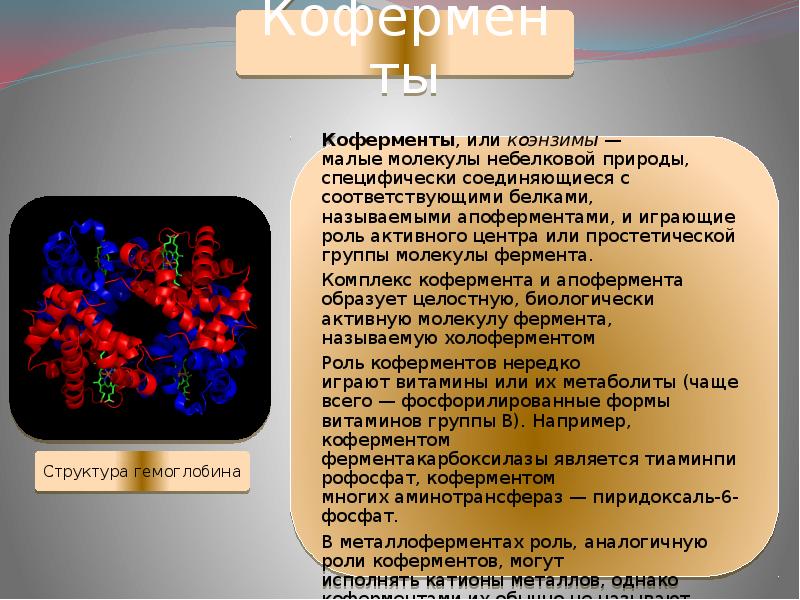 Ферменты сердца. Регуляторы биомолекулярных процессов. Витамины кофакторы ферментов. Коферменты витаминов. Химическая природа ферментов.