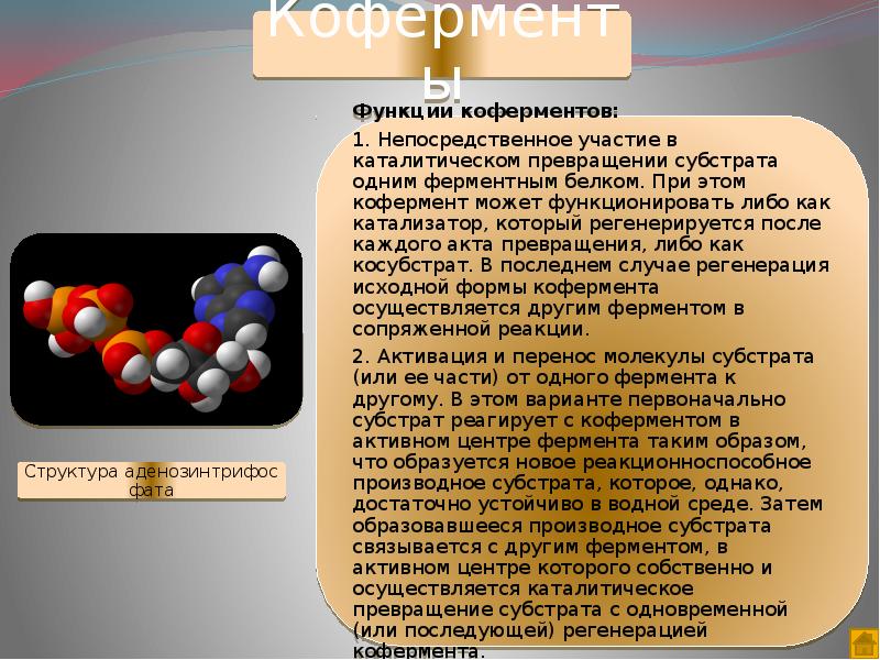 Что такое кофермент. Регуляторы биомолекулярных процессов. Функции коферментов. Регуляторы биохимических процессов. Ферменты и коферменты.