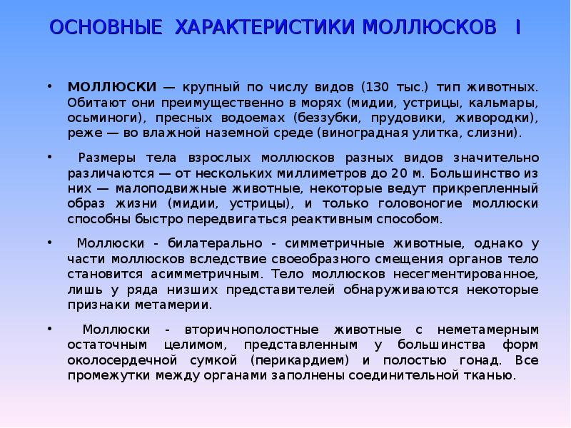 Общая характеристика моллюсков. Общая характеристика малюсок. Тип моллюски общая характеристика. Моллюсик обща яхарактеристикеа.