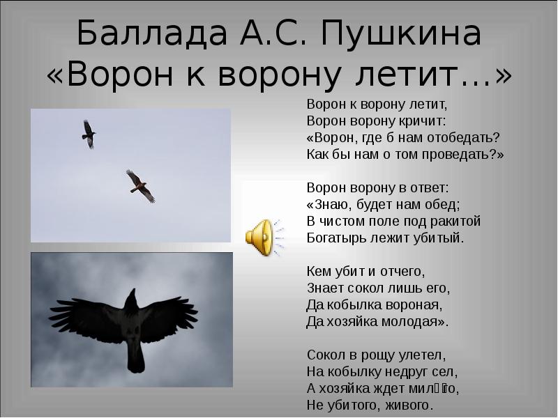 Ворон стих пушкин. Ворон к ворону летит. Ворон к ворону летит пушкин. Стих пушкина ворон к ворону летит. Стих пушкина ворон.