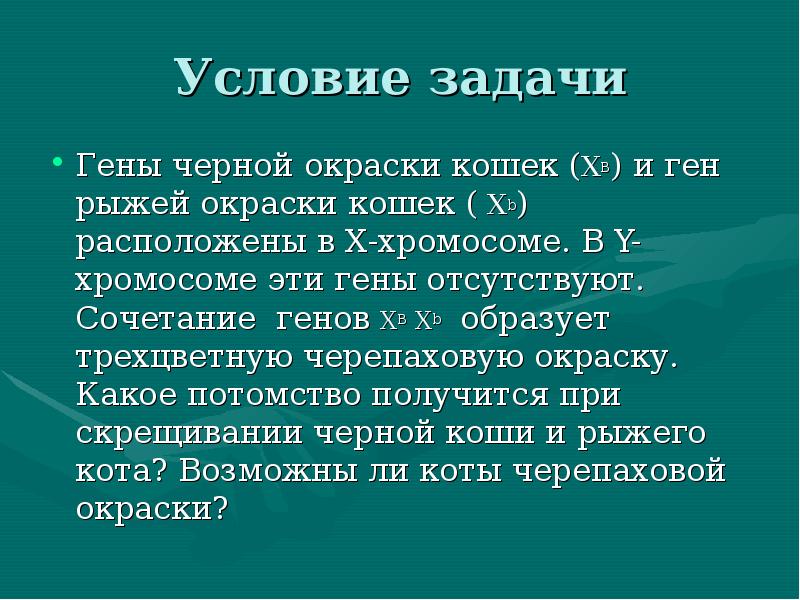 Черепаховая окраска кошки генотип. Наследование черепаховой окраски у кошек. Какое сочетание генов дает черепаховую окраску. Задачи на гены по биологии. Наследование окраски у кошек.