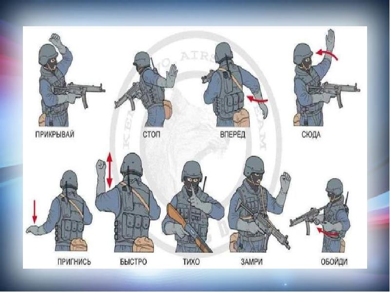 Язык жестов спецназа в картинках руками