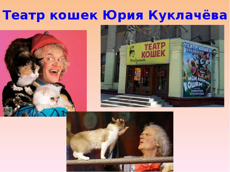 Театр кошек Юрия Куклачёва