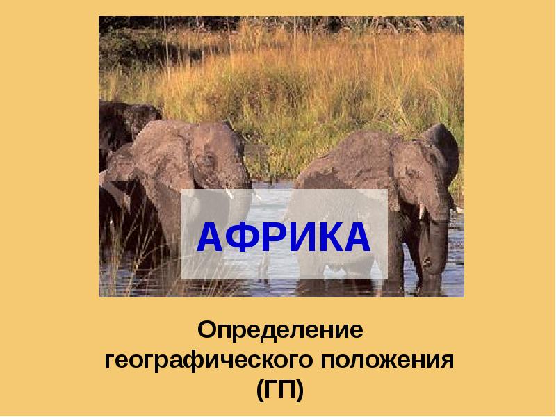 АФРИКА Определение географического положения (ГП)