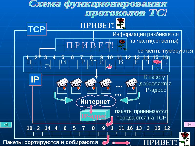 Доменная система имен протоколы передачи данных презентация