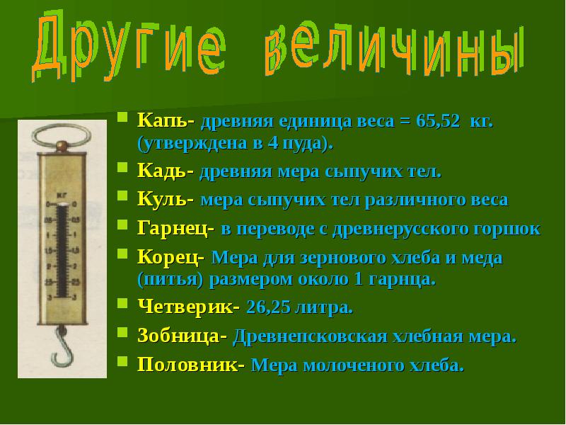 Сколько весит кун