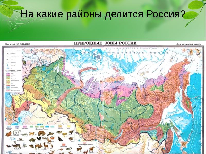 На какие районы делится Россия?