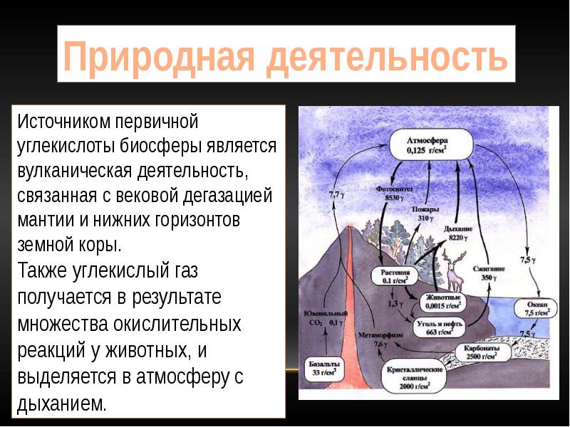 Круговорот co2 в природе презентация