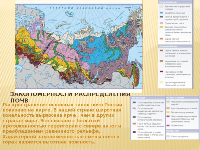 Закономерности распределения почв Распространение основных типов почв России показано на карте.