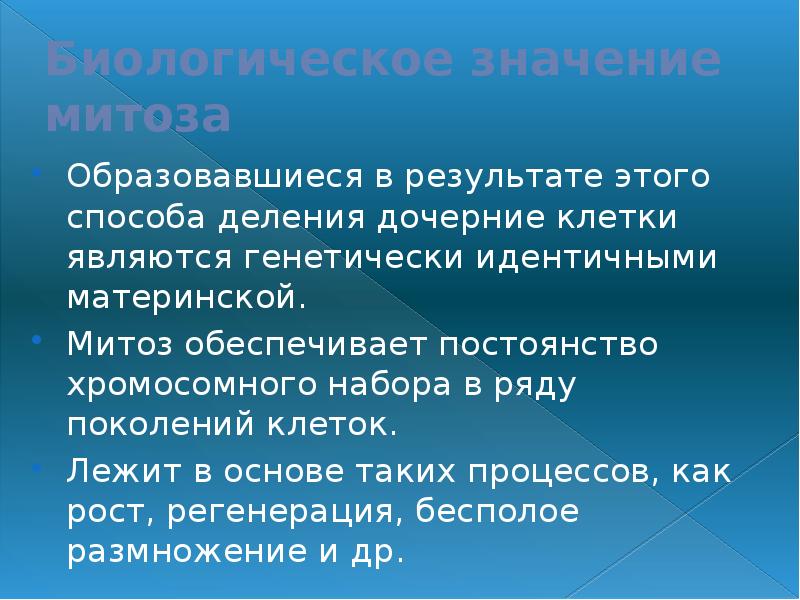 Образуются дочерние клетки идентичные материнской. Дочерние клетки генетически идентичны. Генетически идентичное поколение одной клетки.