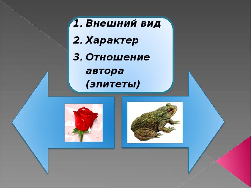 План по жабе и розе