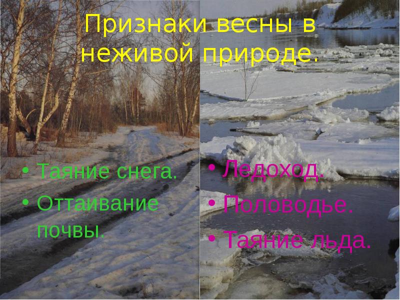 Картинки неживой природы весной