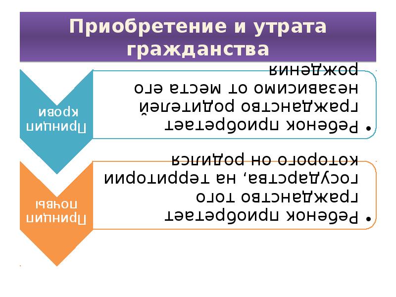 План по теме институт гражданства рф