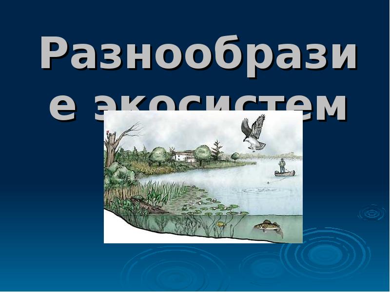 Разнообразие экосистем 11 класс биология. Разнообразие экосистем 11 класс биология