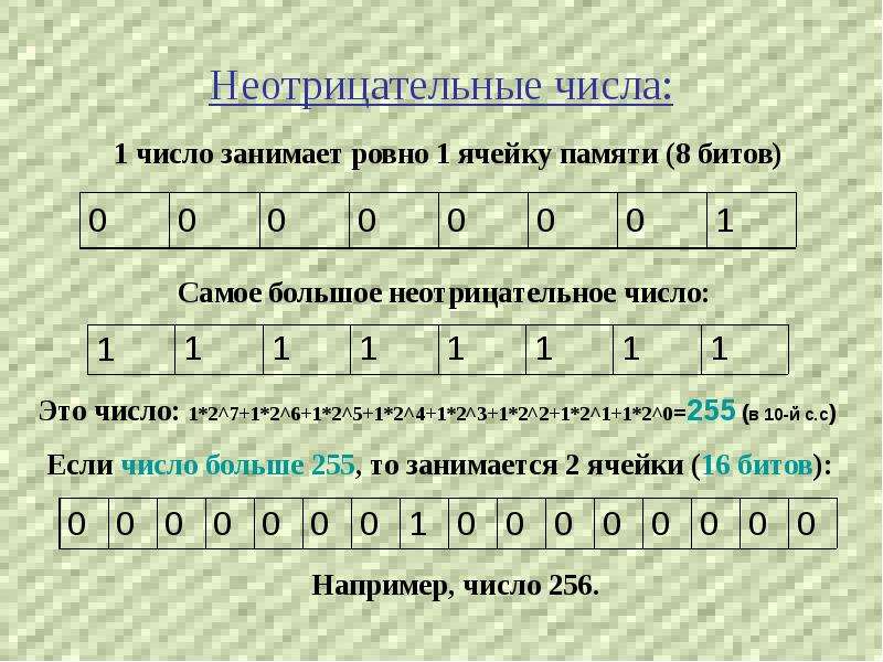 Представление чисел в компьютере 8 класс информатика. Отрицательные и неотрицательные числа. Целые неотрицательные числа. Неотрицательные числа и неотрицательные числа. Целое неотрицательное число это.