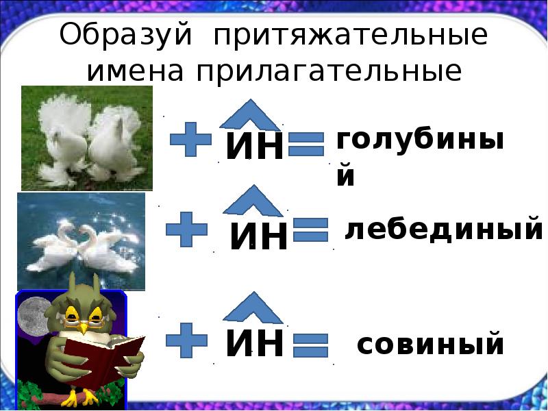 Голубей прилагательное. Притяжательные имена прилагательные. Правописание суффиксов притяжательных прилагательных. Сиреневый куст притяжательное прилагательное. Притяжательные прилагательные голубь.