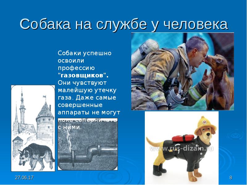 Презентация на тему собака друг человека 4 класс