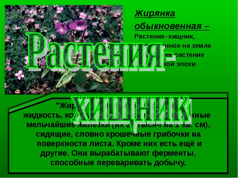 Надо ли охранять болота 3 класс пнш презентация