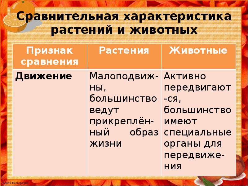 Сравните движение. Сравнительная характеристика растений и животных. Движение растений и животных таблица. Сравнение движения растений и животных таблица. Характеристика растений.