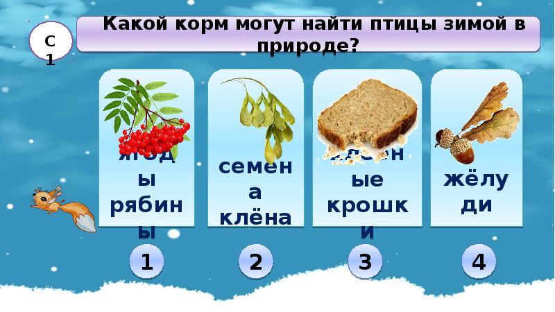 Тест растения 2 класс. Какой корм могут найти птицы зимой в природе. Растения и животные зимой презентация 2 класс. Растения и животные зимой 2 класс тесты. Растения и животные зимой окружающий мир 2 класс.