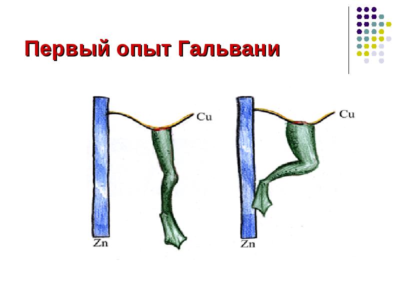 Схема первый опыт гальвани