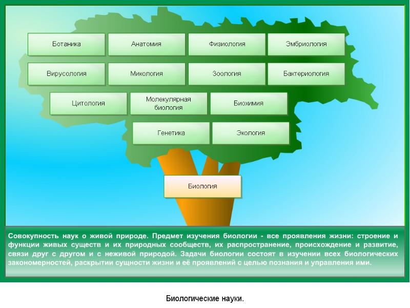 Проекты по ботанике