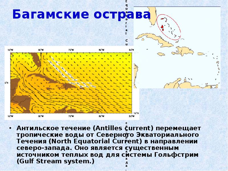Антильское течение (Antilles current) перемещает тропические воды от Северного Экваториального Течения Антильское течение (Antilles current) перемещает тропические воды от Северного Экваториального Течения