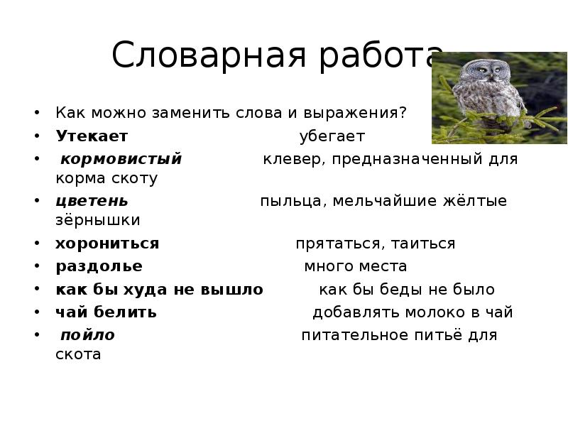 Презентация в бианки сова 2 класс школа россии презентация