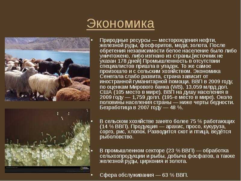Экономика
Природные ресурсы — месторождения нефти, железной руды, фосфоритов, меди, золота. Экономика
Природные ресурсы — месторождения нефти, железной руды, фосфоритов, меди, золота.