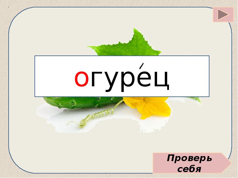 Слово огурцов. Словарное слово огурец. Словарное слово огурец в картинках. Огурец словарные. Словарное слово огурец презентация.