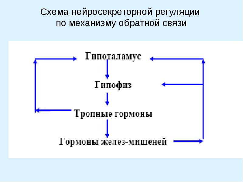 Схема механизма обратной связи