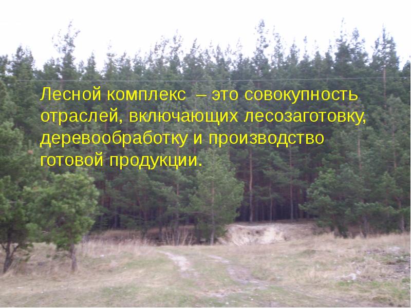 Лесной комплекс – это совокупность отраслей, включающих лесозаготовку, деревообработку и производство