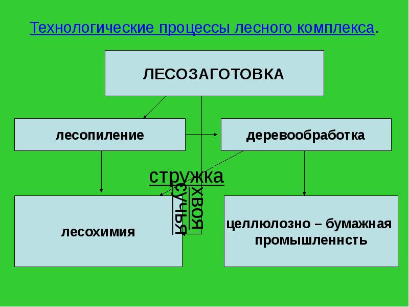 Технологические процессы лесного комплекса.