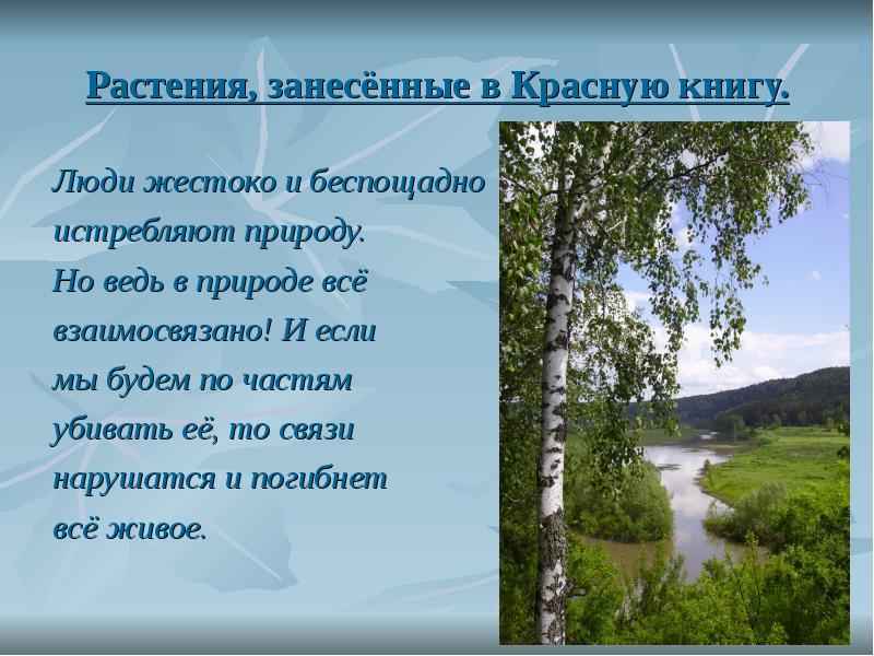 Красоты родного края презентация