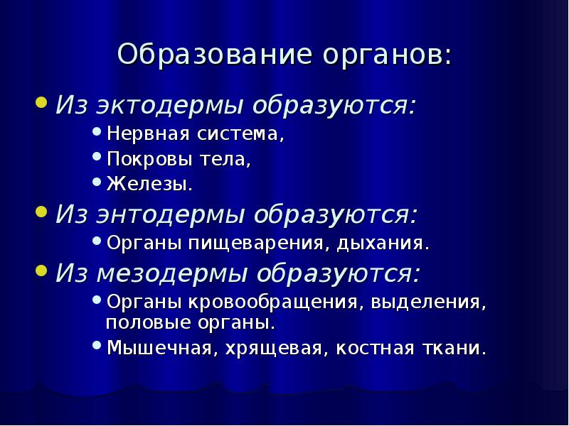 Формируются органы и их системы. Органы образующиеся из эктодермы. ткани из эктодермы. что образуется из мезодермы. из энтодермы образуются.