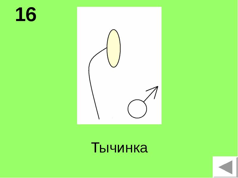 Признаки тычинки