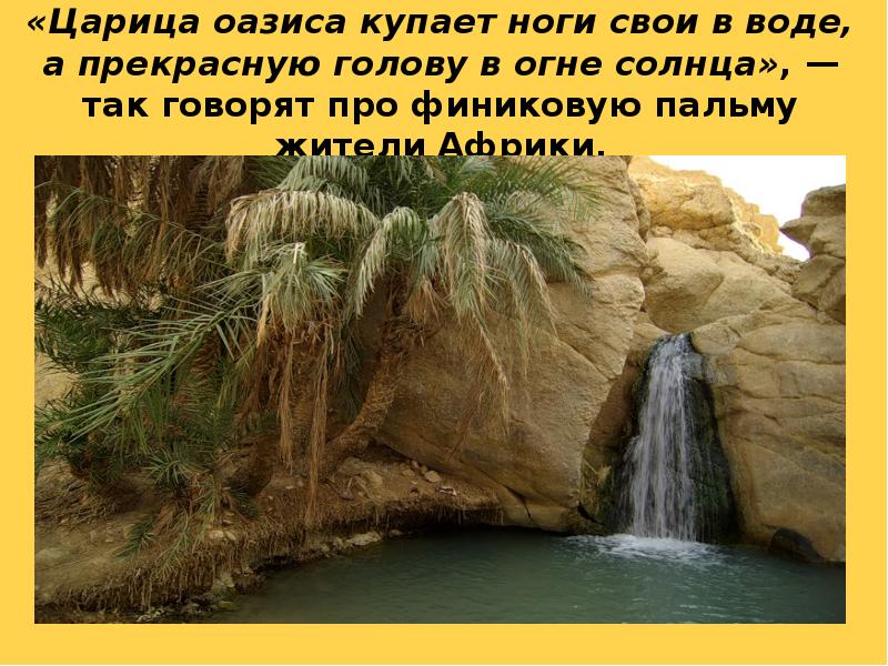 «Царица оазиса купает ноги свои в воде, а прекрасную голову в «Царица оазиса купает ноги свои в воде, а прекрасную голову в