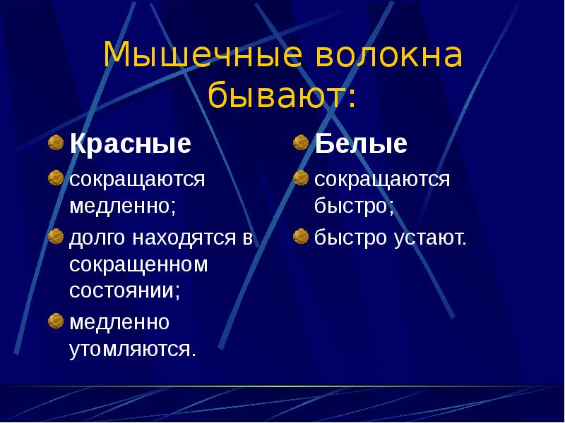 Какие из названных мышц человека сокращаются медленно. Функция мышечной памяти. Депонирующая функция мышц. 46. Атипические мышечные волокна.