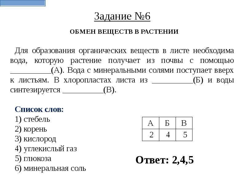 Ответы впр 5 класс биология образец ответы