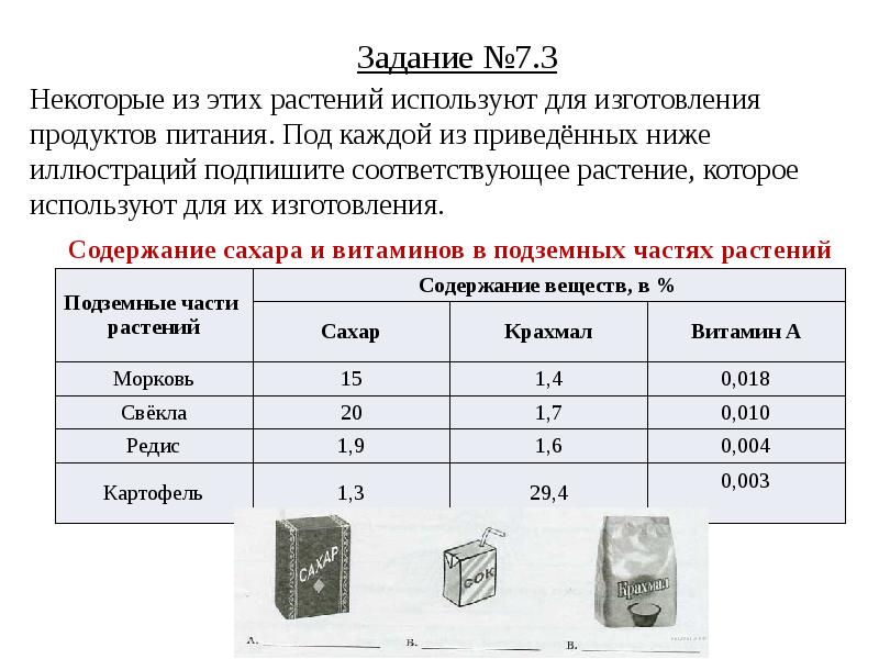 Впр 5 класс презентация биология