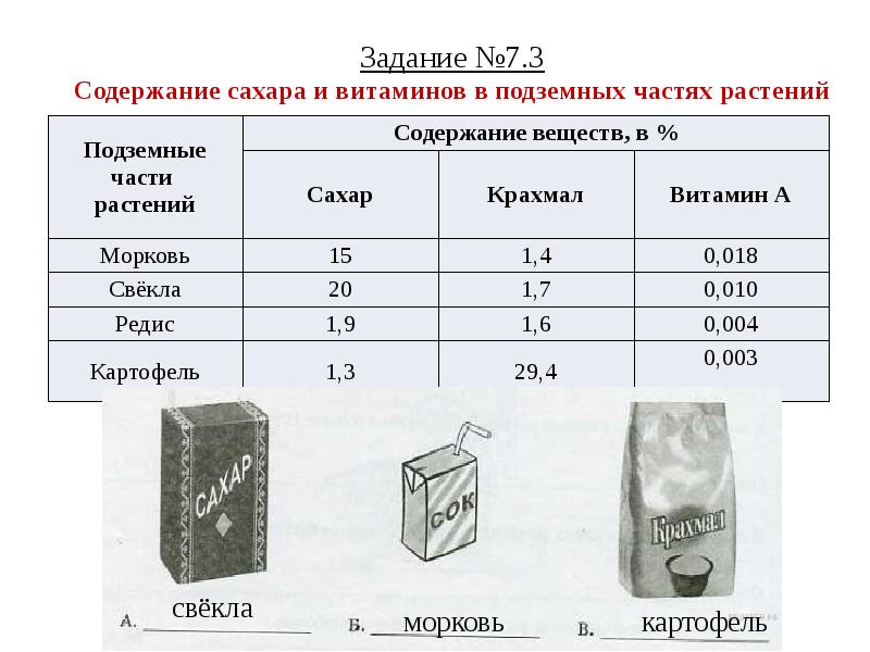 Впр биология 5 класс презентация