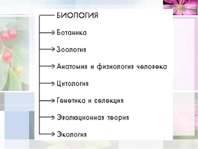 Ботаника наука о растениях 5 класс презентация