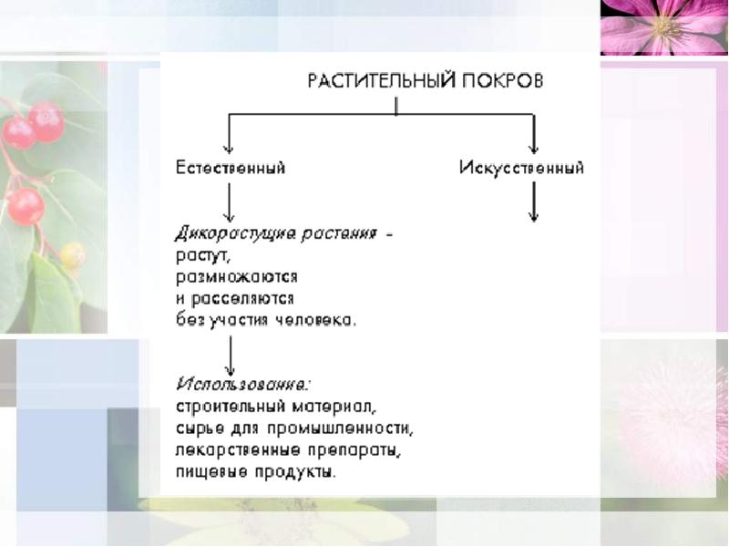 Ботаника наука о растениях 5 класс презентация