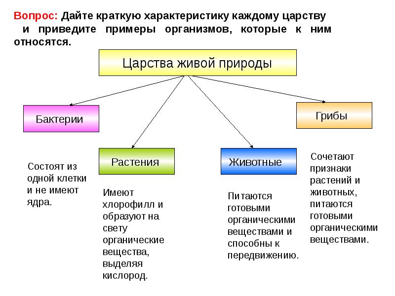 Человек как уникальный вид живой природы презентация 10 класс пономарева