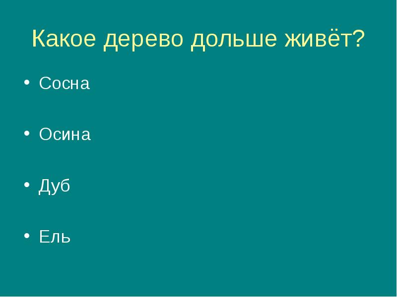 Простые аналогии ель дуб. Сколько лет живёт сосна.