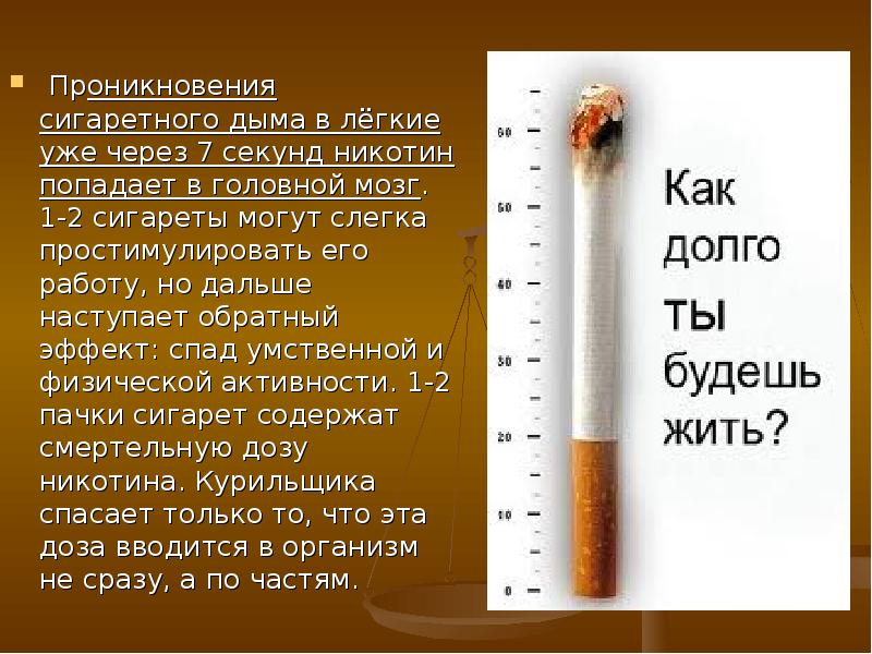 Сколько выходит никотин от сигарет. Влияние сигарет на легкие. Воздействие курения на легкие. Легкие курильщика сигарет.