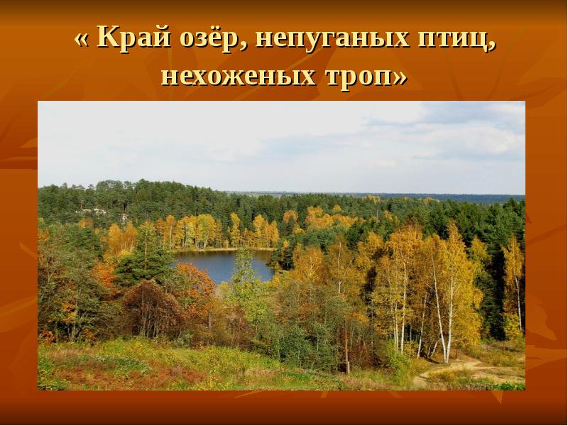 Нехоженые тропы. Василия Мешкова «Золотая осень в Карелии». Василий мешков Золотая осень в Карелии. Картина Мешкова Золотая осень в Карелии. Картина Золотая осень в Карелии мешков.