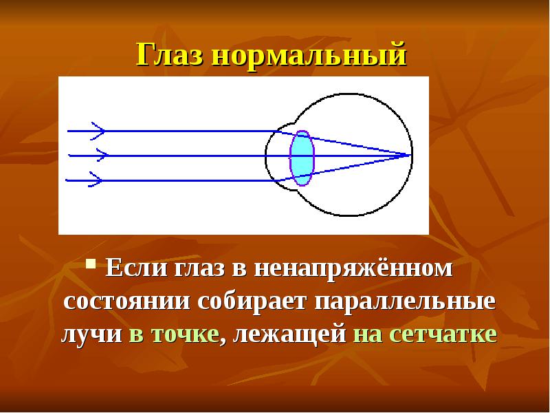 Зрение с точки зрения физики презентация