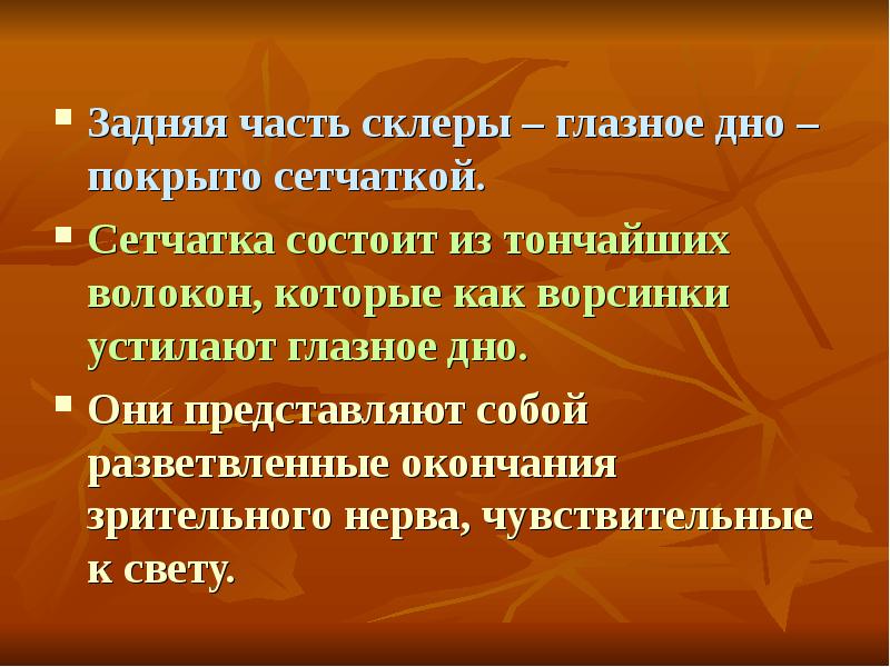 Презентация на тему глаз и зрение 8 класс физика