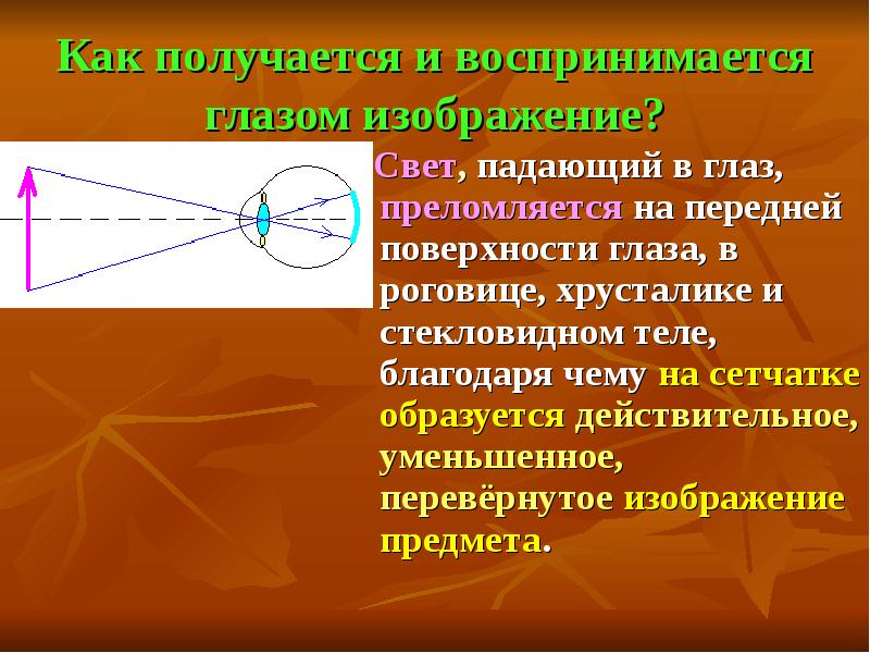 Формирование изображения на сетчатке глаза физика 8 класс